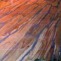  	Parquet da sezioni di tronco con resine